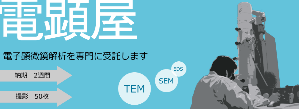 株式会社 東海電子顕微鏡解析