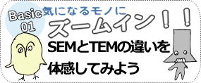 SEMとTEMの違い