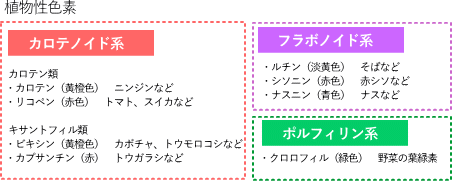 トマトを電子顕微鏡で見てみよう